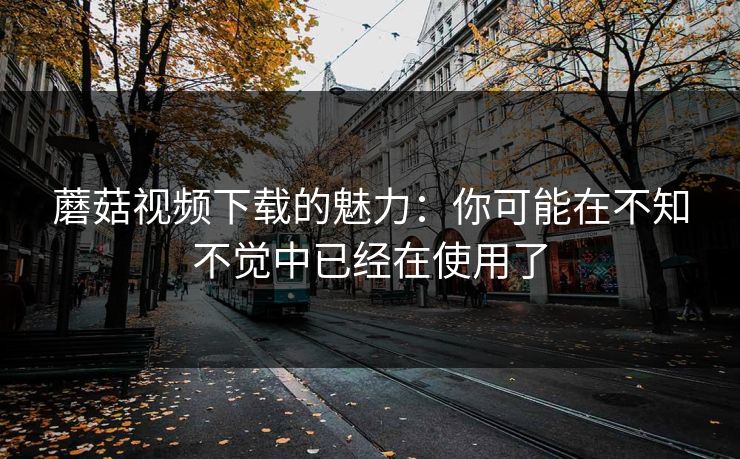 蘑菇视频下载的魅力：你可能在不知不觉中已经在使用了  第1张