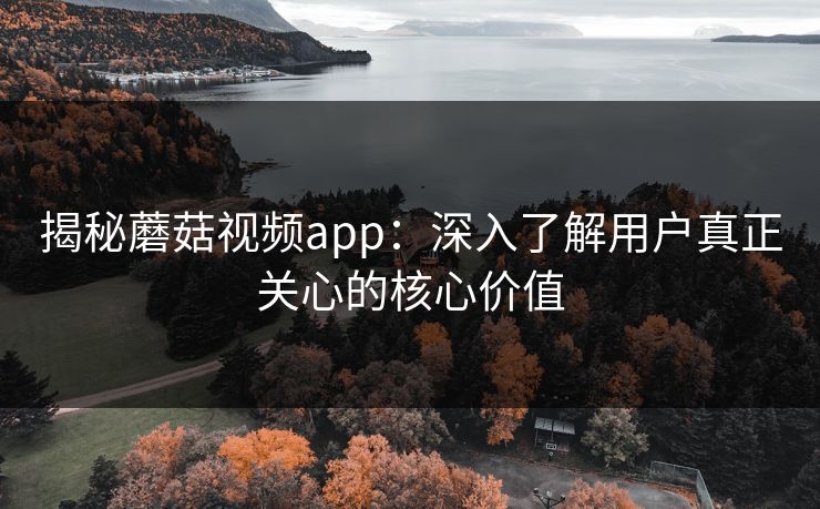 揭秘蘑菇视频app：深入了解用户真正关心的核心价值  第1张