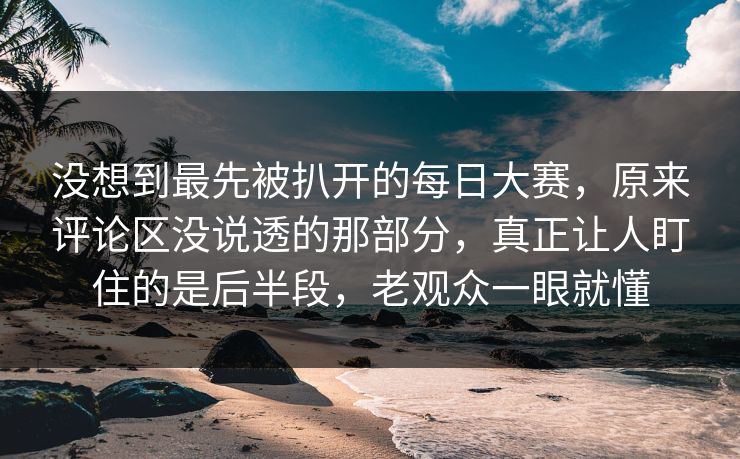 没想到最先被扒开的每日大赛，原来评论区没说透的那部分，真正让人盯住的是后半段，老观众一眼就懂  第1张