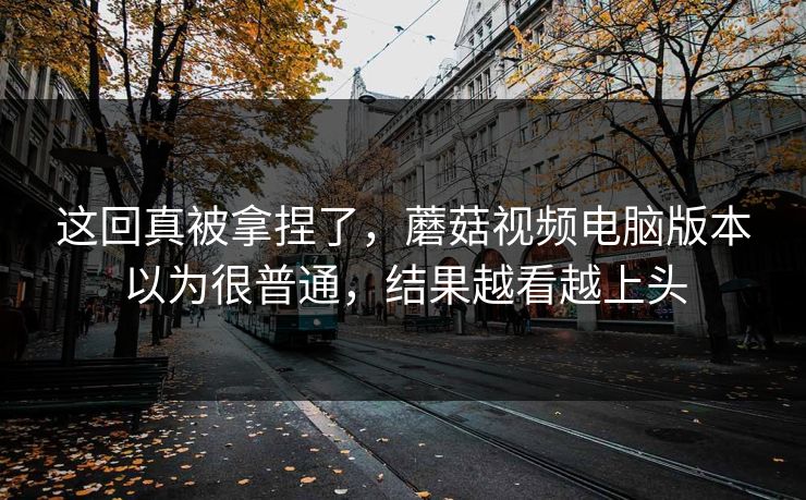 这回真被拿捏了，蘑菇视频电脑版本以为很普通，结果越看越上头  第1张