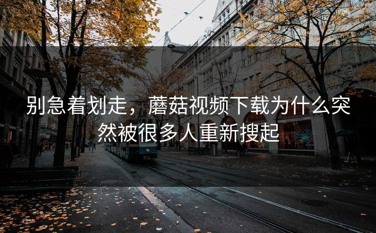 别急着划走，蘑菇视频下载为什么突然被很多人重新搜起