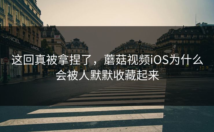 这回真被拿捏了，蘑菇视频iOS为什么会被人默默收藏起来