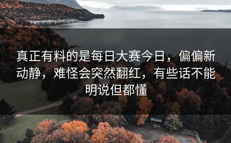真正有料的是每日大赛今日，偏偏新动静，难怪会突然翻红，有些话不能明说但都懂  第1张