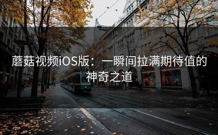 蘑菇视频iOS版：一瞬间拉满期待值的神奇之道  第1张