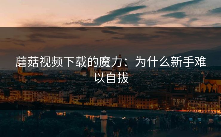 蘑菇视频下载的魔力：为什么新手难以自拔  第1张