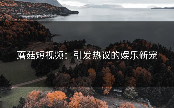 蘑菇短视频：引发热议的娱乐新宠  第1张