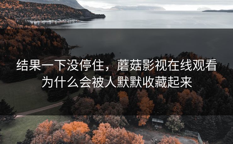 结果一下没停住，蘑菇影视在线观看为什么会被人默默收藏起来