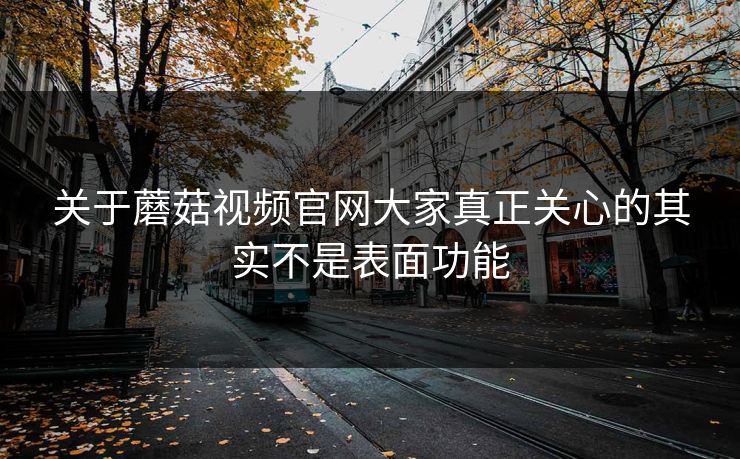 关于蘑菇视频官网大家真正关心的其实不是表面功能 第1张 关于蘑菇视频官网大家真正关心的其实不是表面功能 第1张