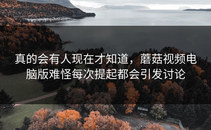 真的会有人现在才知道,蘑菇视频电脑版难怪每次提起都会引发讨论 第1张 真的会有人现在才知道,蘑菇视频电脑版难怪每次提起都会引发讨论 第1张