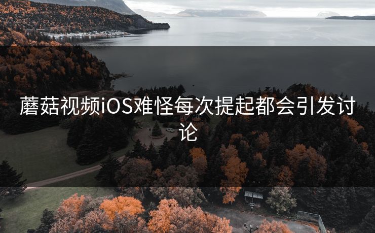 蘑菇视频iOS难怪每次提起都会引发讨论 第1张 蘑菇视频iOS难怪每次提起都会引发讨论 第1张